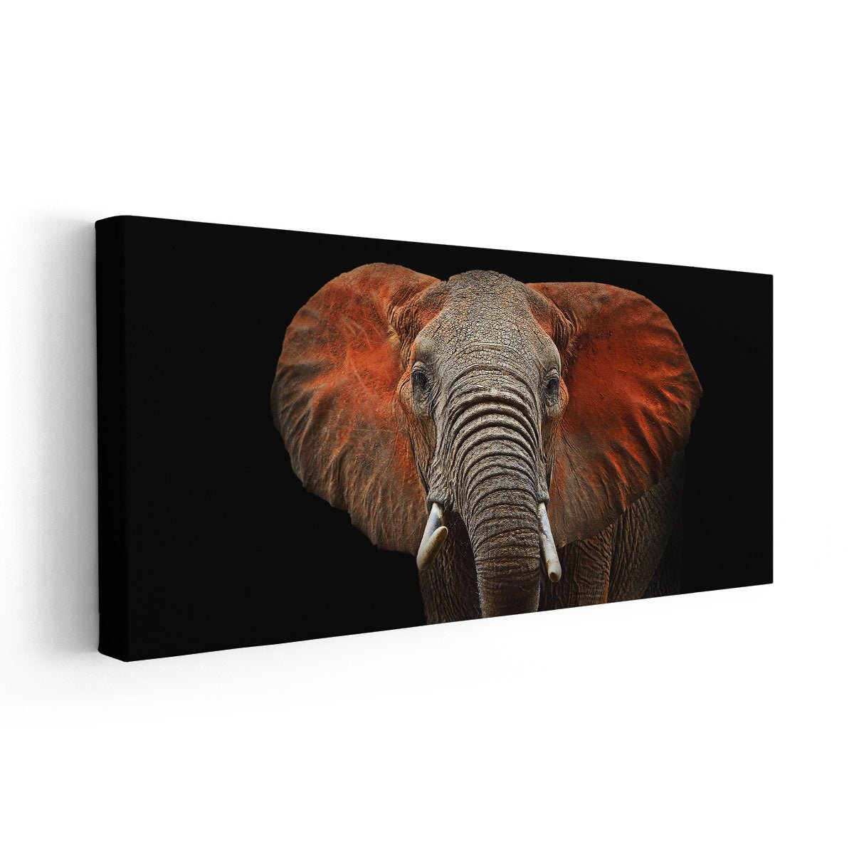 Kenyan Elephant Wall Art-Stunning Canvas Prints