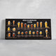 Beer Glassware Types Wall Art Canvas Print-Stunning Canvas Prints