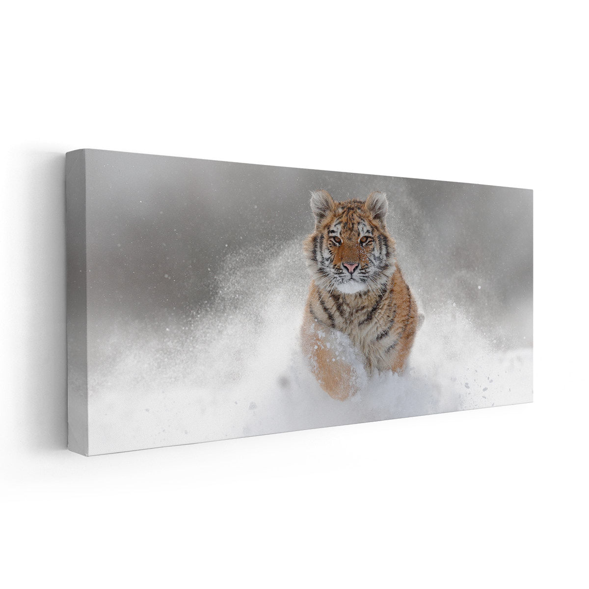 Bengal Tiger In The Snow Canvas Wall Art