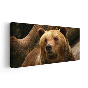 Alaskan Grizzly Bear Wall Art Canvas-Stunning Canvas Prints