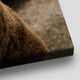 Alaskan Grizzly Bear Wall Art Canvas-Stunning Canvas Prints