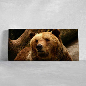 Alaskan Grizzly Bear Wall Art Canvas-Stunning Canvas Prints