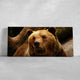 Alaskan Grizzly Bear Wall Art Canvas-Stunning Canvas Prints