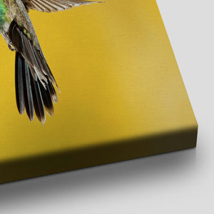 Green Hummingbird Wall Art Canvas-Stunning Canvas Prints
