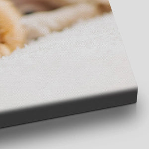Cat And Dog Wall Art Canvas Print-Stunning Canvas Prints