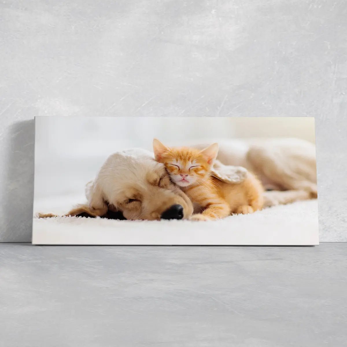 Cat And Dog Wall Art Canvas Print-Stunning Canvas Prints
