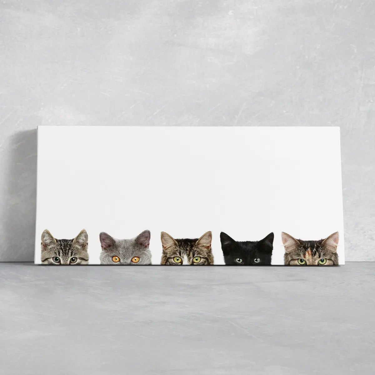 Cat Heads Wall Art Canvas Print-Stunning Canvas Prints