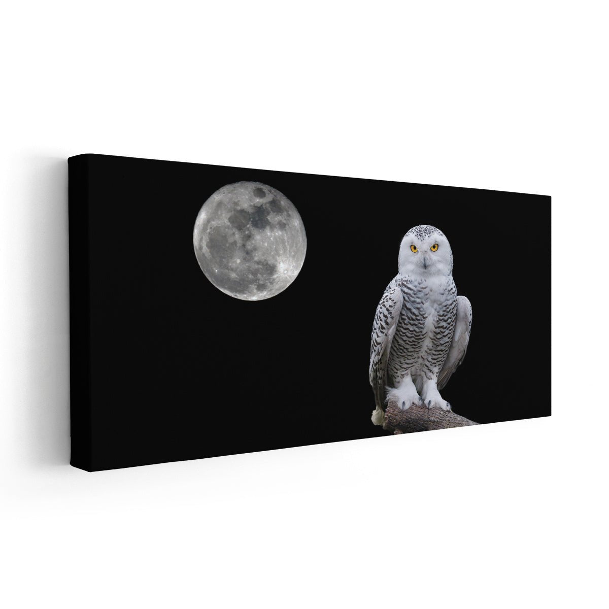 Full Moon Owl Wall Art-Stunning Canvas Prints