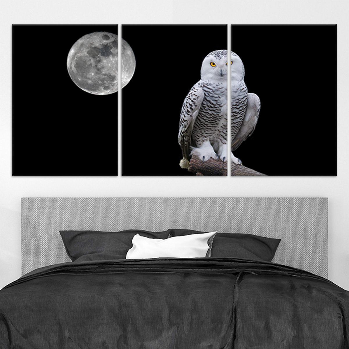 Full Moon Owl Wall Art-Stunning Canvas Prints