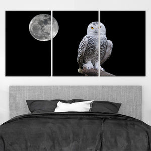 Black And White Owl Wall Art Canvas-Stunning Canvas Prints