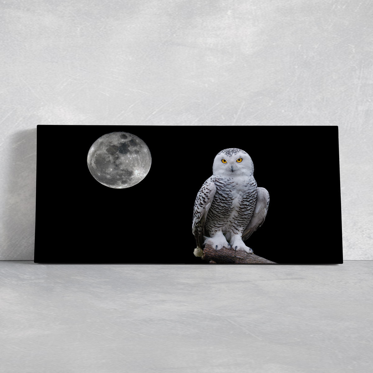 Black And White Owl Wall Art Canvas-Stunning Canvas Prints
