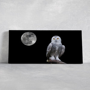 Black And White Owl Wall Art Canvas-Stunning Canvas Prints