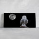 Black And White Owl Wall Art Canvas-Stunning Canvas Prints