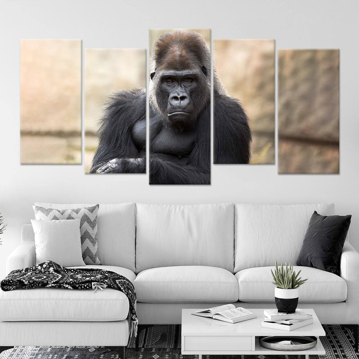 Silver Back Gorilla Wall Art Canvas-Stunning Canvas Prints