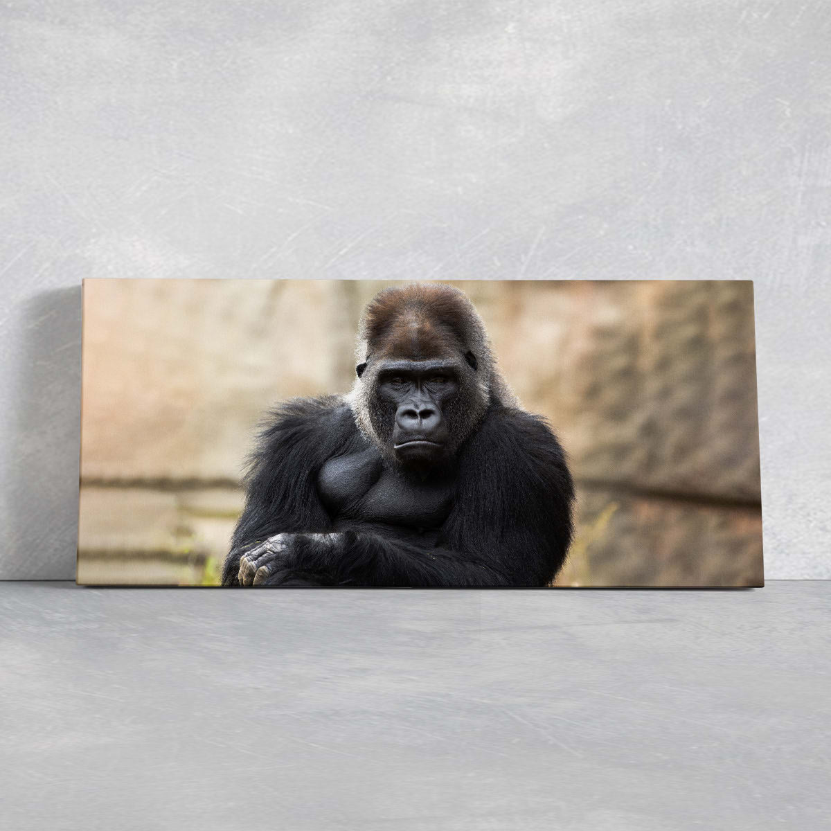 Silver Back Gorilla Wall Art Canvas-Stunning Canvas Prints