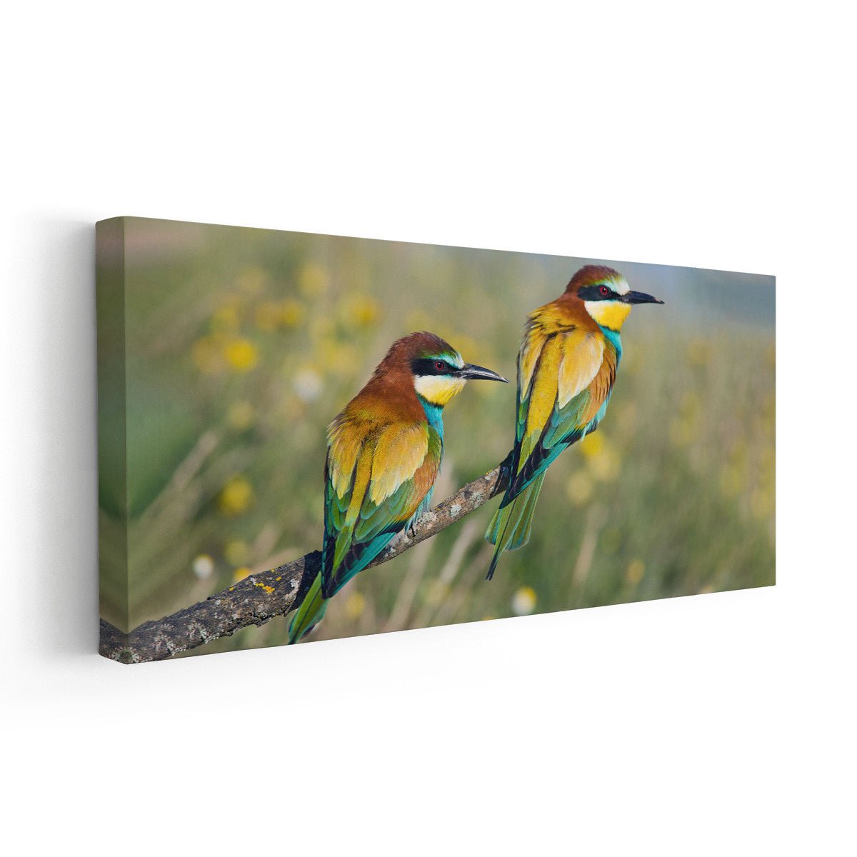 Bee Eater Birds Wall Art Canvas-Stunning Canvas Prints