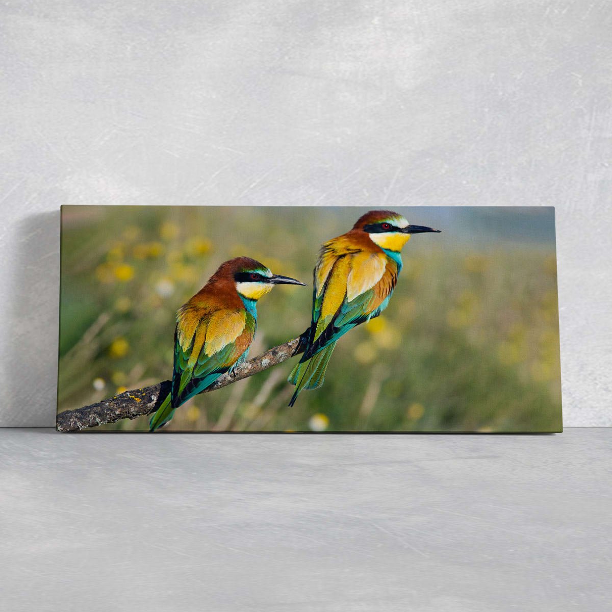 Bee Eater Birds Wall Art Canvas-Stunning Canvas Prints