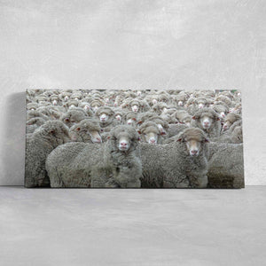 Flock Of Sheep Wall Art Canvas-Stunning Canvas Prints
