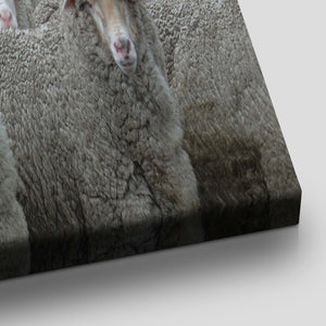 Flock Of Sheep Wall Art Canvas-Stunning Canvas Prints