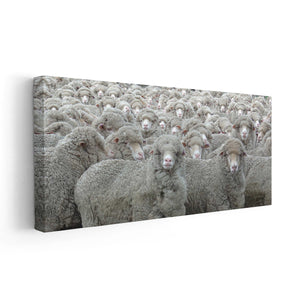 Flock Of Sheep Wall Art Canvas-Stunning Canvas Prints