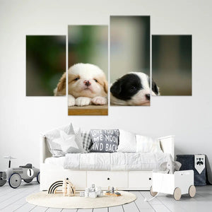 Cute Baby Collie Dogs Wall Art Canvas-Stunning Canvas Prints