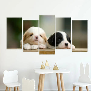 Cute Baby Collie Dogs Wall Art Canvas-Stunning Canvas Prints