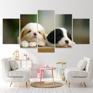 Cute Baby Collie Dogs Wall Art Canvas-Stunning Canvas Prints