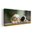 Cute Baby Collie Dogs Wall Art-Stunning Canvas Prints