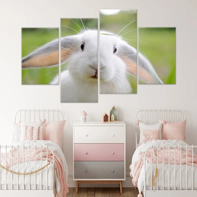 Cute White Rabbit Wall Art-Stunning Canvas Prints