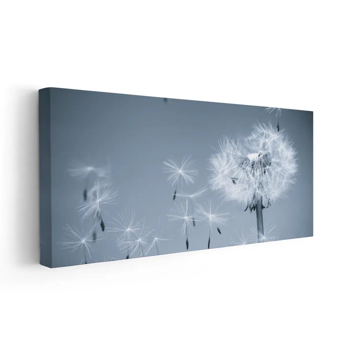 Dandelion Blowing Wall Art-Stunning Canvas Prints