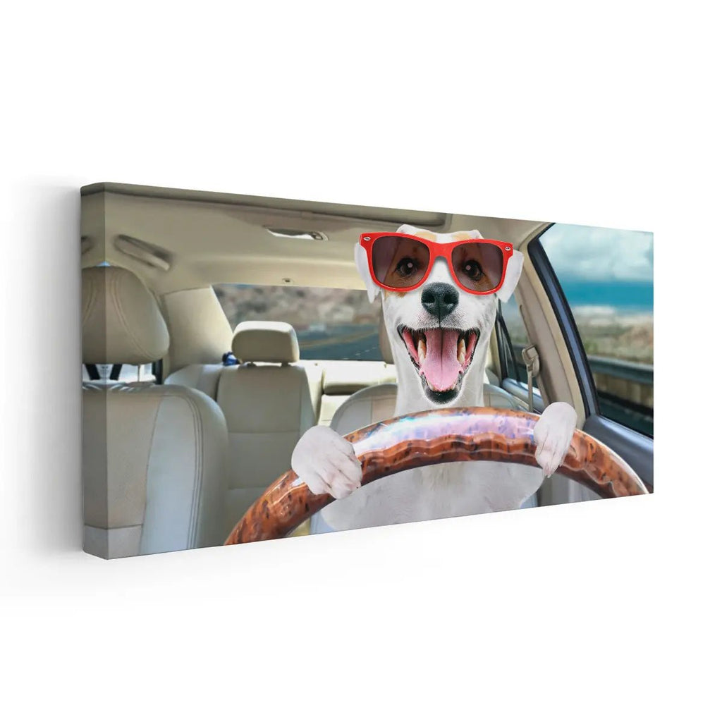 Dog wall for shop car