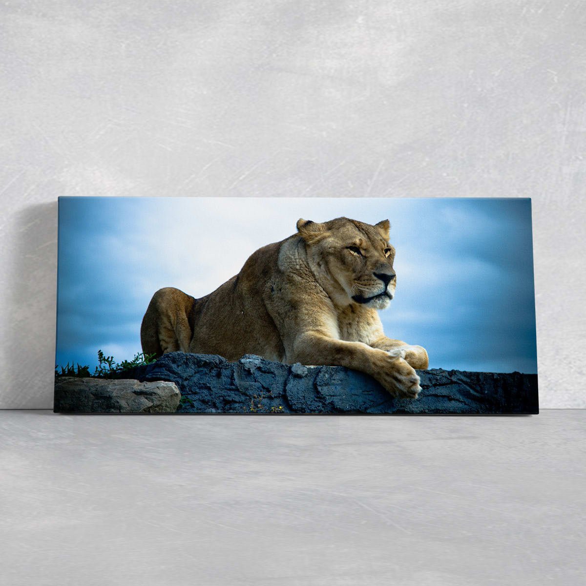 Lioness Wall Art Canvas-Stunning Canvas Prints