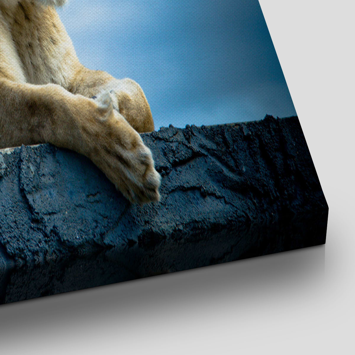 Lioness Wall Art Canvas-Stunning Canvas Prints