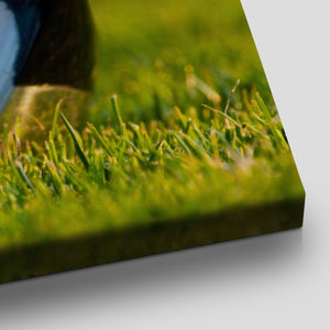 Golf Ball Position Wall Art Canvas Print-Stunning Canvas Prints