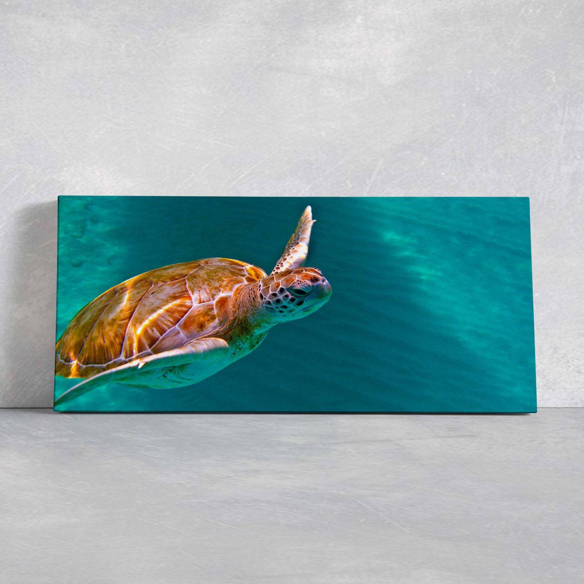 Maui Green Sea Turtle Wall Art Canvas-Stunning Canvas Prints
