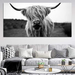 Highland Cow Wall Art Canvas Print Painting - Stunning Canvas Prints
