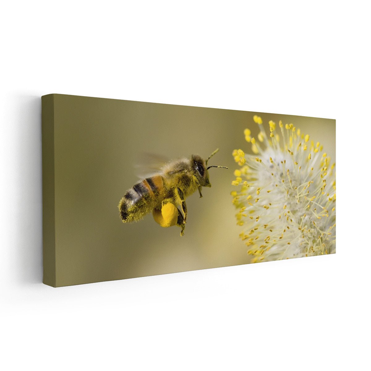 Honey Bee Wall Art-Stunning Canvas Prints