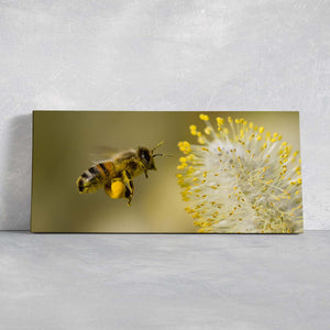 Honey Bee Wall Art Canvas-Stunning Canvas Prints