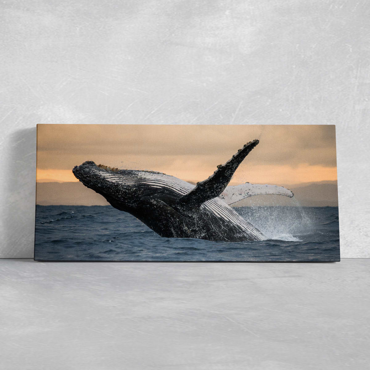 Humpback Whale Wall Art Canvas-Stunning Canvas Prints