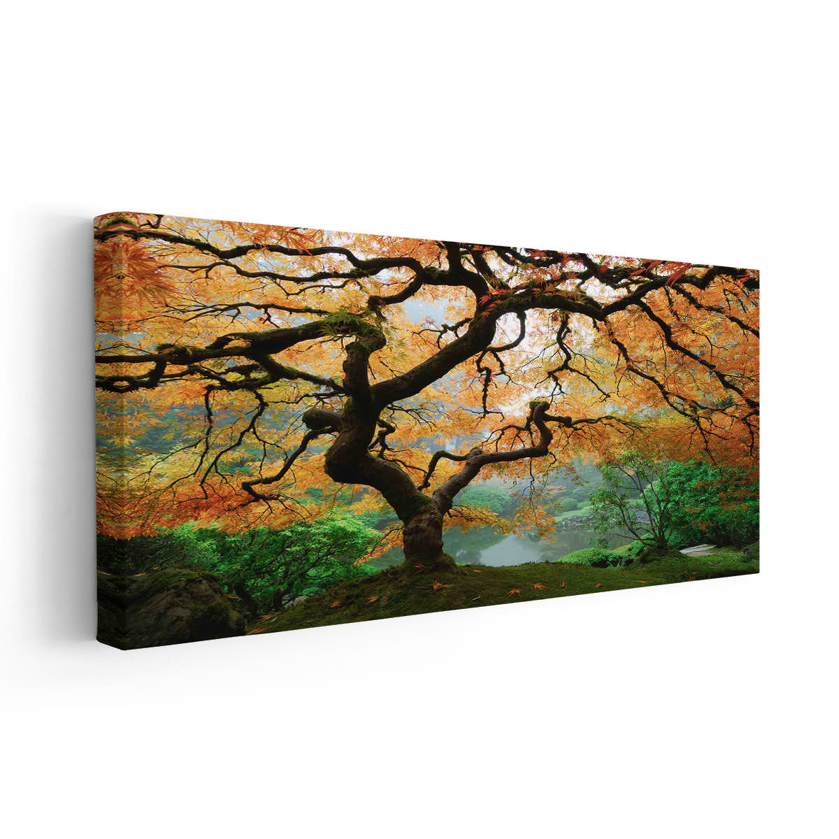 Japanese Maple Tree Wall Art Canvas-Stunning Canvas Prints