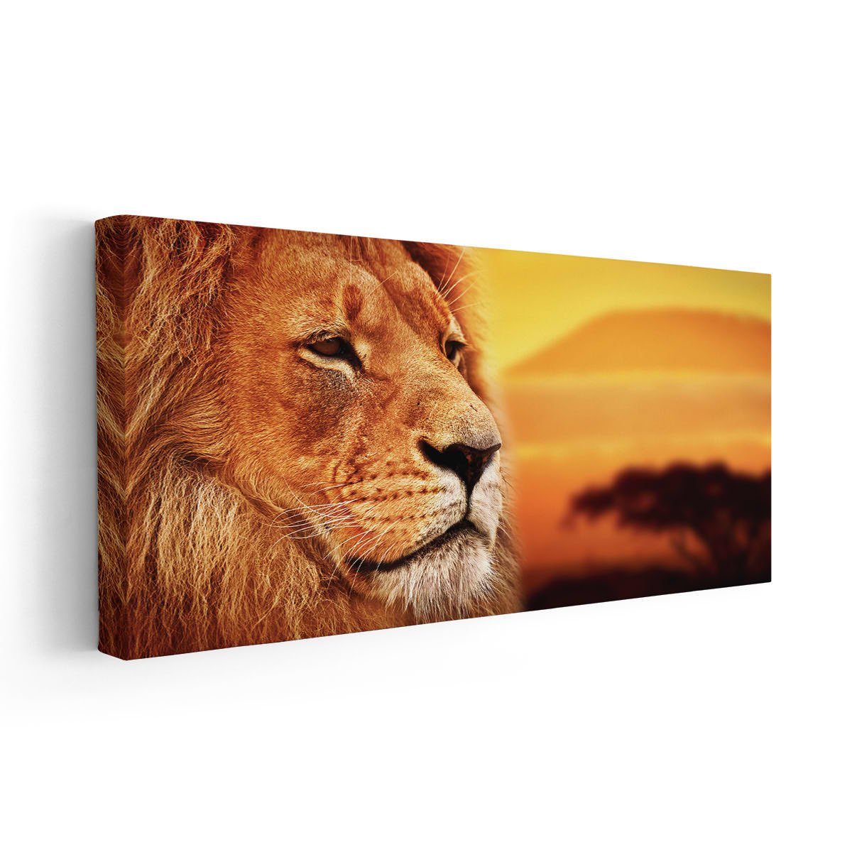 Serengeti Lion Wall Art Canvas-Stunning Canvas Prints