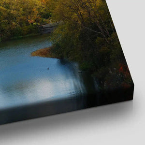 Manhattan Central Park Wall Art-Stunning Canvas Prints