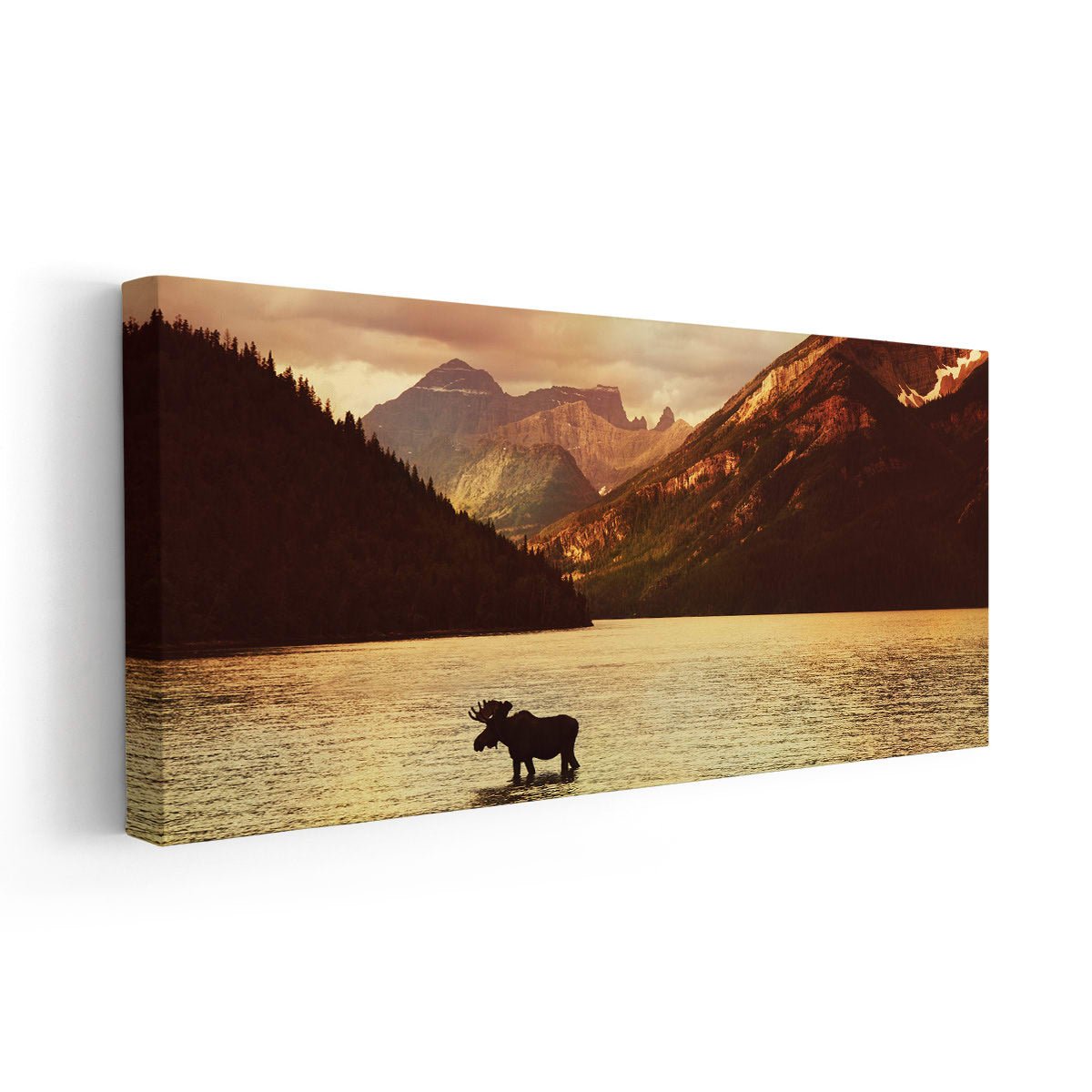 Moose In The Water Wall Art Canvas-Stunning Canvas Prints