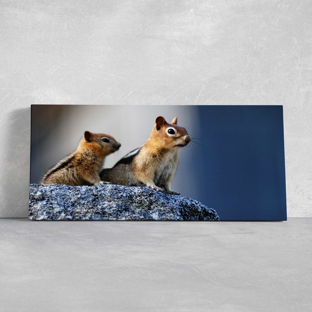 Mother And Baby Squirrel Wall Art Canvas-Stunning Canvas Prints