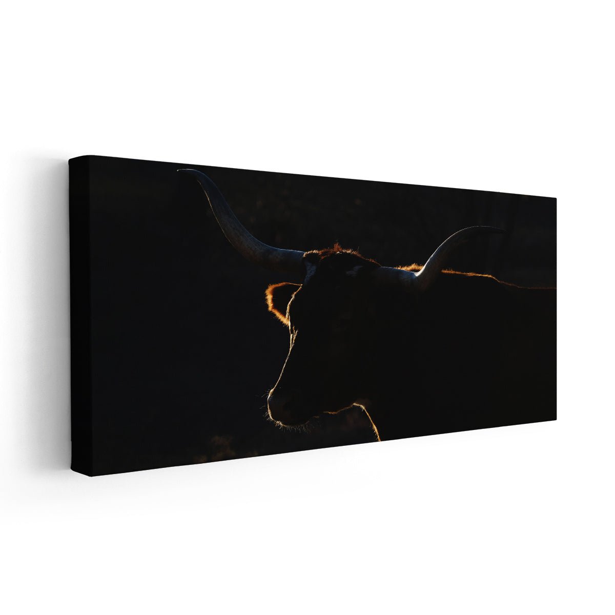 Longhorn Cattle Wall Art Canvas-Stunning Canvas Prints