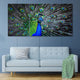 Blue Peacock Feathers Wall Art Canvas-Stunning Canvas Prints