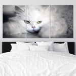 Persian Fluffy Cat Wall Art-Stunning Canvas Prints