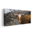 Cow texas Longhorn Wall Art-Stunning Canvas Prints