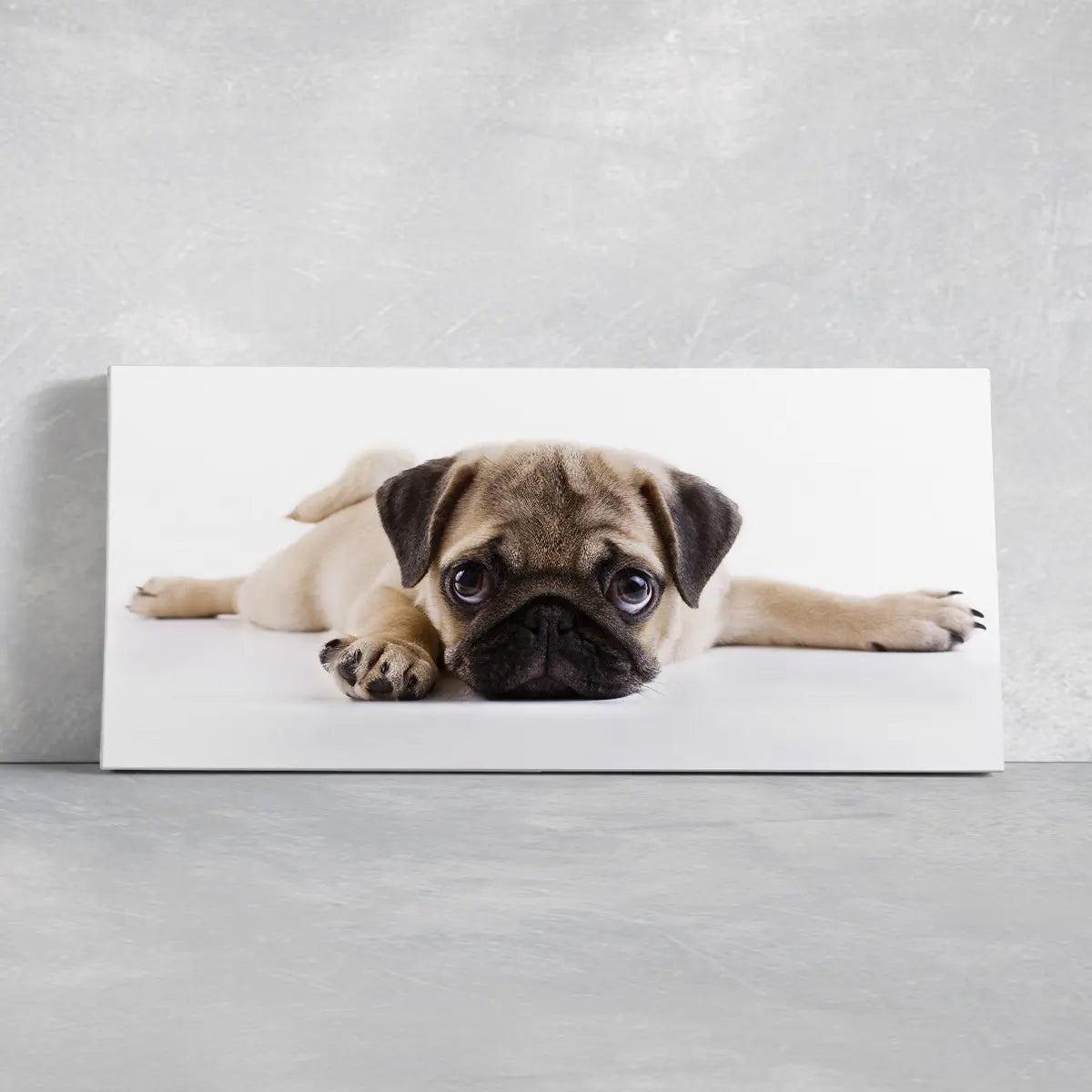 Puppy Pug Wall Art Canvas Print-Stunning Canvas Prints