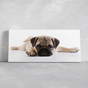 Puppy Pug Wall Art Canvas Print-Stunning Canvas Prints